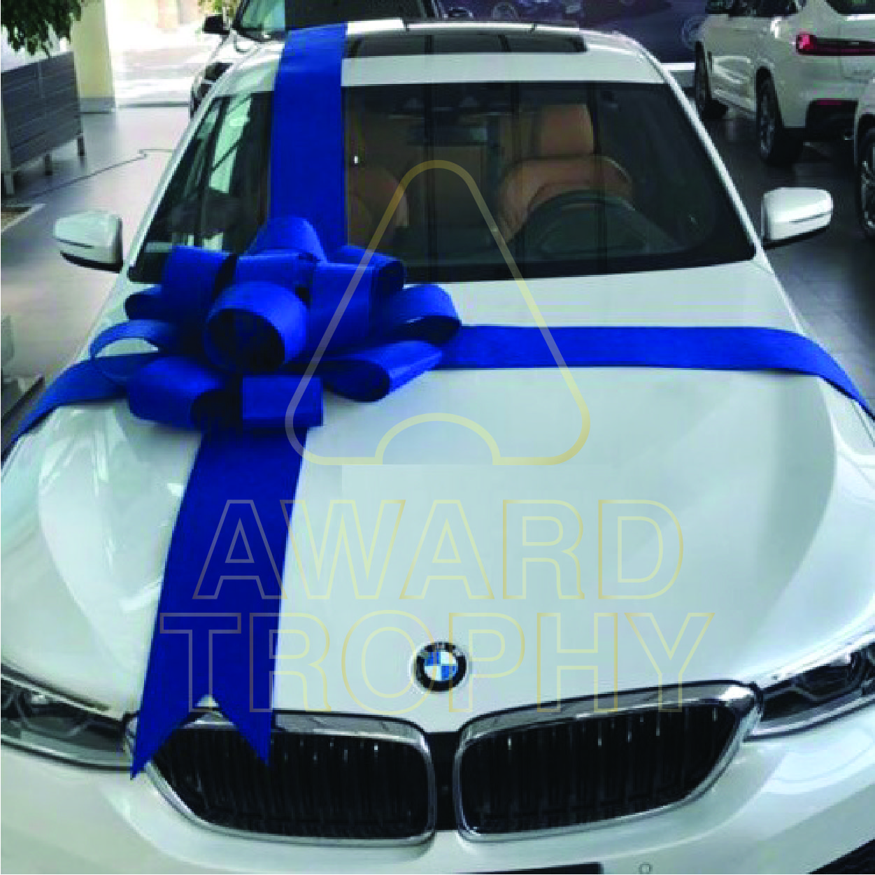 Car Giant Ribbon | AWARD TROPHY MALAYSIA