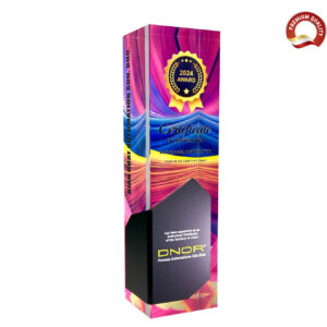 Acrylic Trophy Award with customizable engraving for corporate recognition